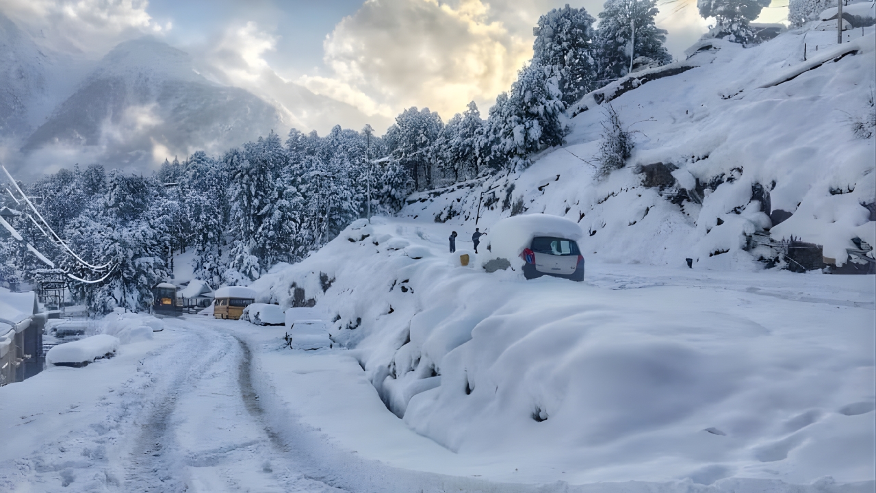 image of Star Luxury Hotel Manali Tour Package (4 Nights / 5 Days) - Luxury Stay at Best Price