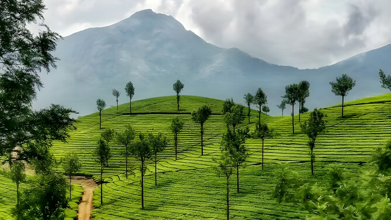 image of Kerala Tour Package – 3 Nights / 4 Days   (4 Person Budget Hotel)